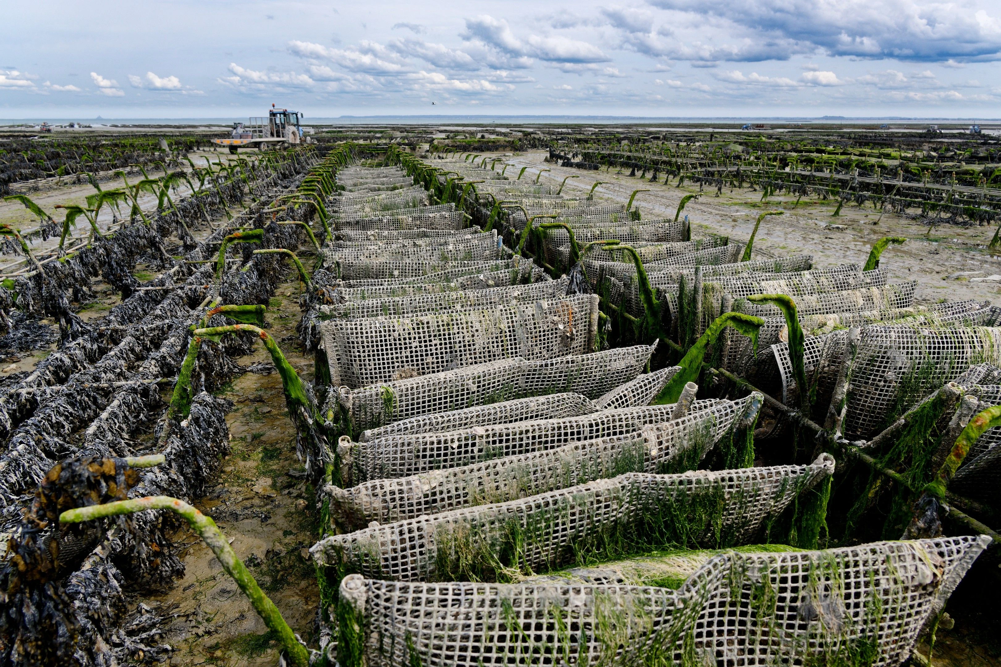 Port ostréicole de Gujan-Mestras sur le bassin d’Arcachon