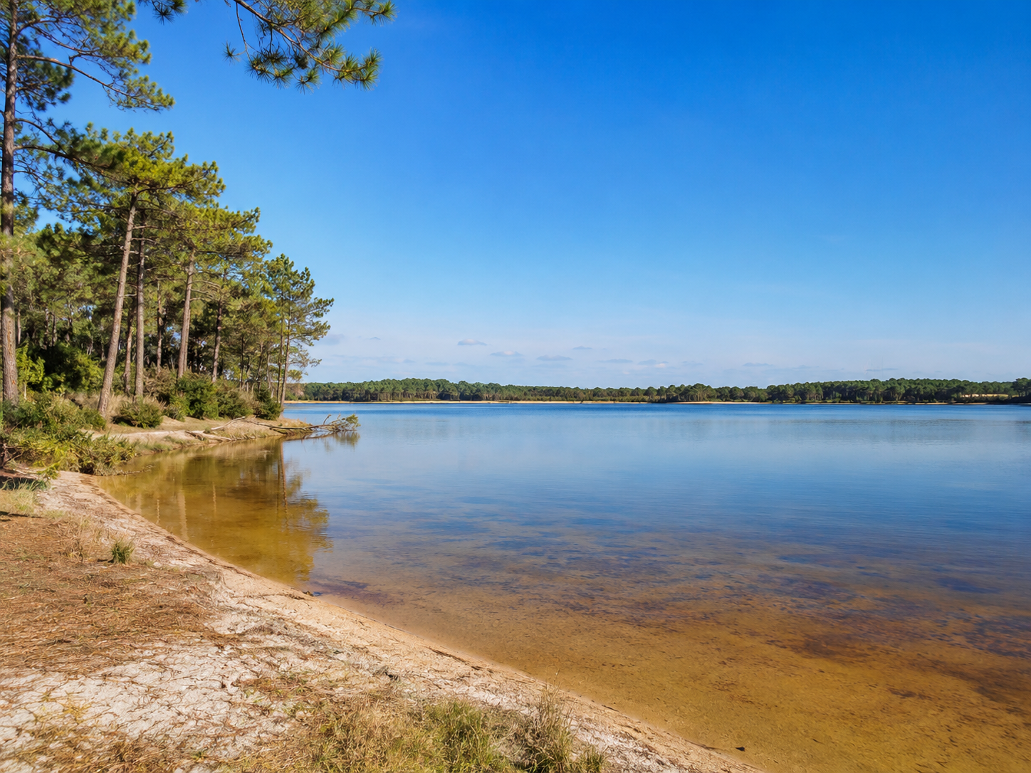 Lac de Lacanau pour une nuit nature en van près de Bordeaux