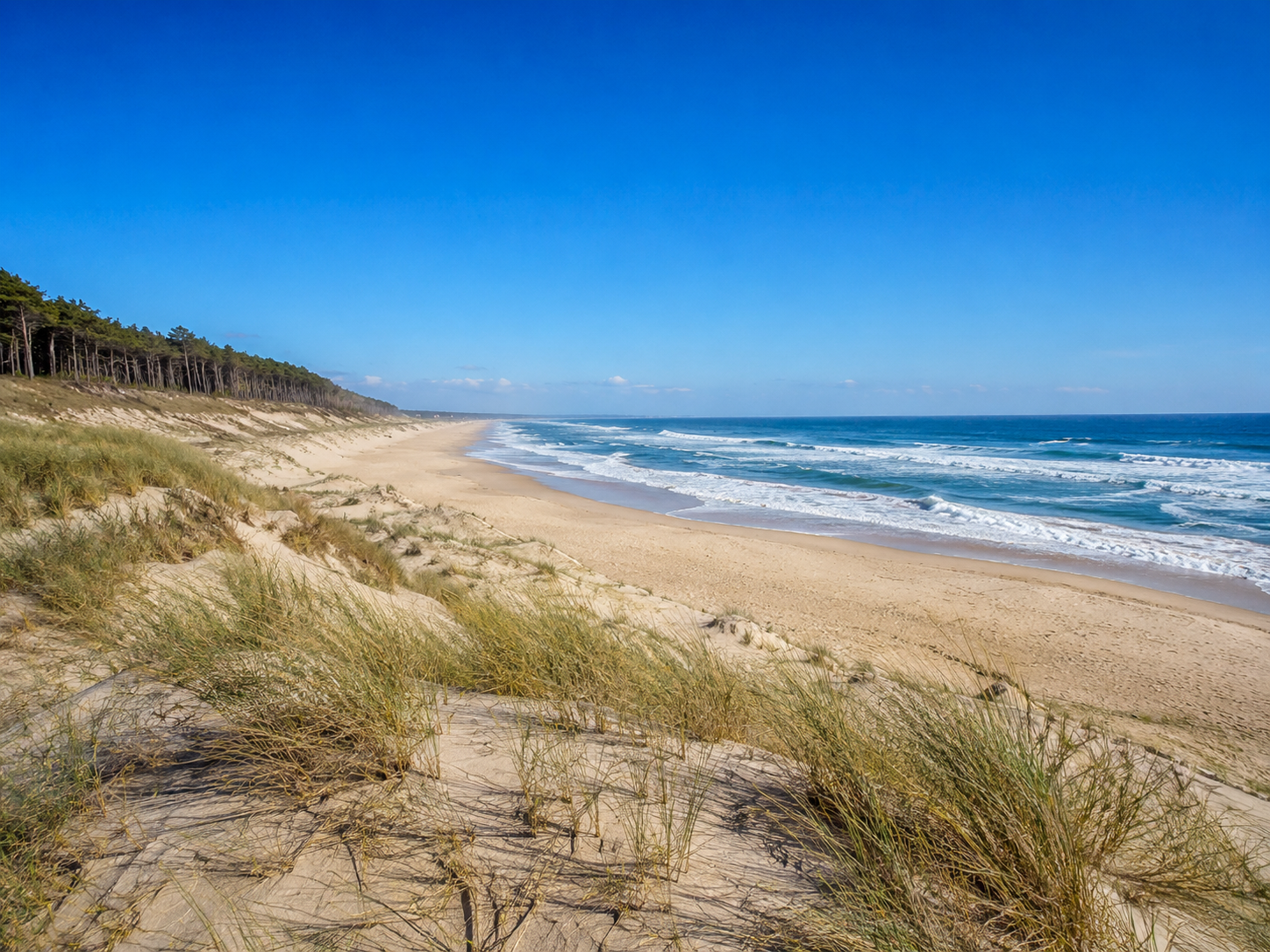 Plage de Lacanau Océan pour un week-end en van depuis Bordeaux
